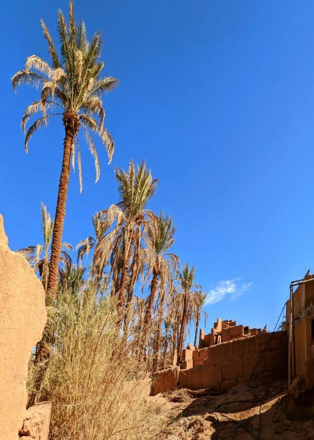 Riad Tagmadarte Ferme d'Hôte Zagora Exterior foto