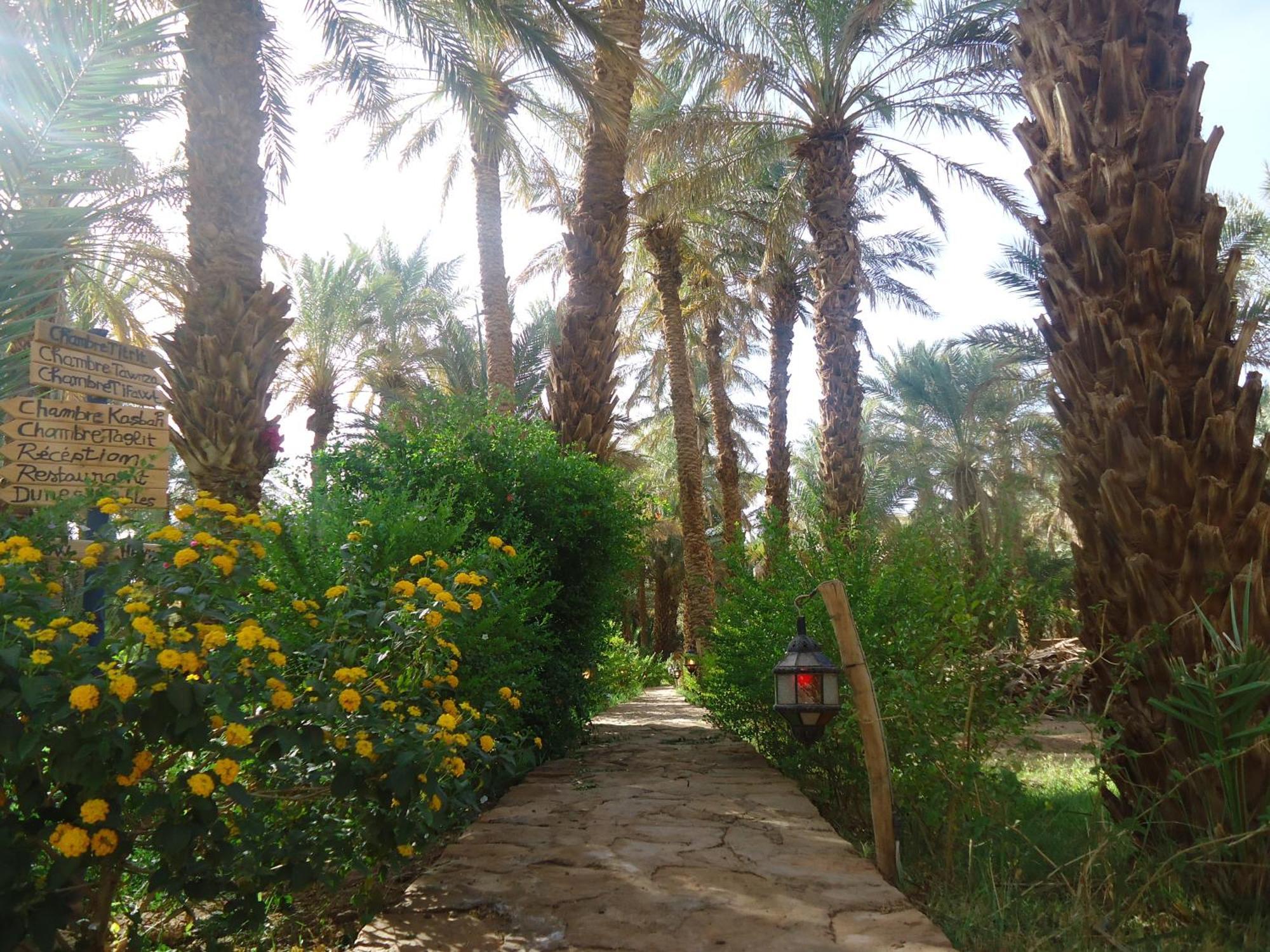Riad Tagmadarte Ferme d'Hôte Zagora Exterior foto