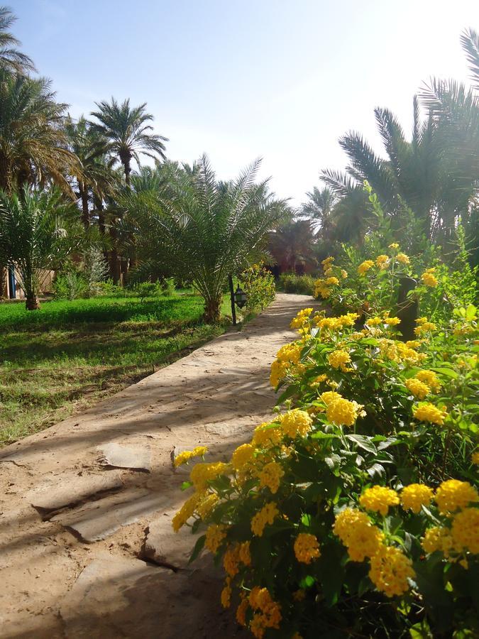 Riad Tagmadarte Ferme d'Hôte Zagora Exterior foto