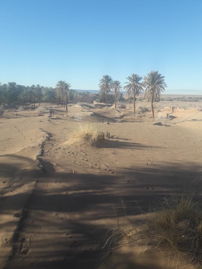Riad Tagmadarte Ferme d'Hôte Zagora Exterior foto