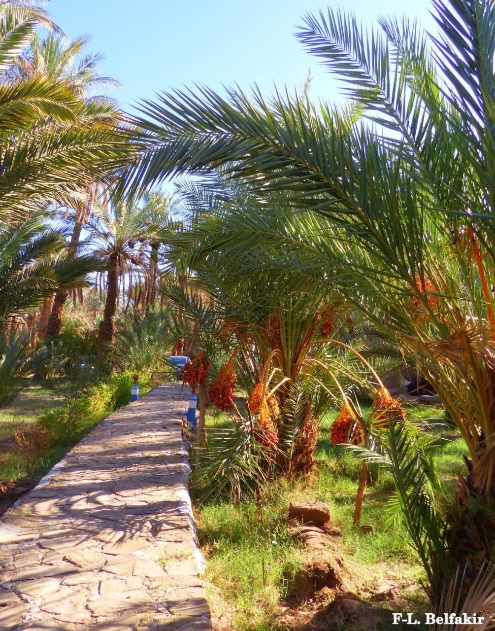 Riad Tagmadarte Ferme d'Hôte Zagora Exterior foto