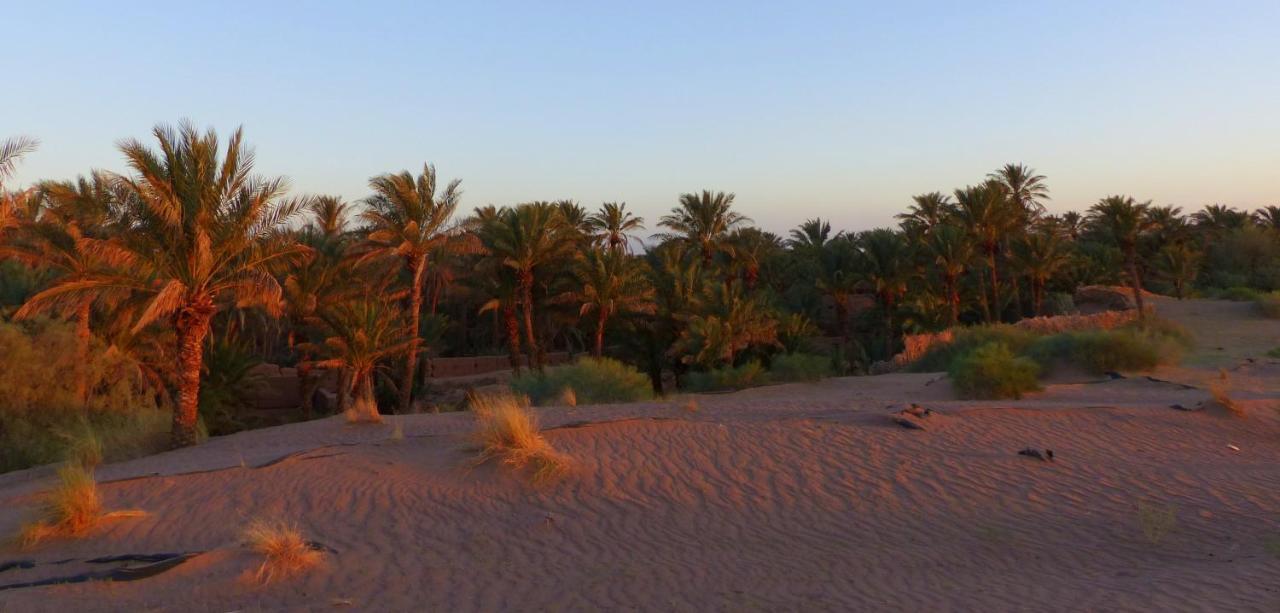 Riad Tagmadarte Ferme d'Hôte Zagora Exterior foto